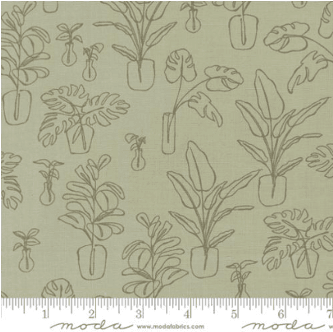 Hovedbilde Potted Indoor Jungle Sage 26143 24
