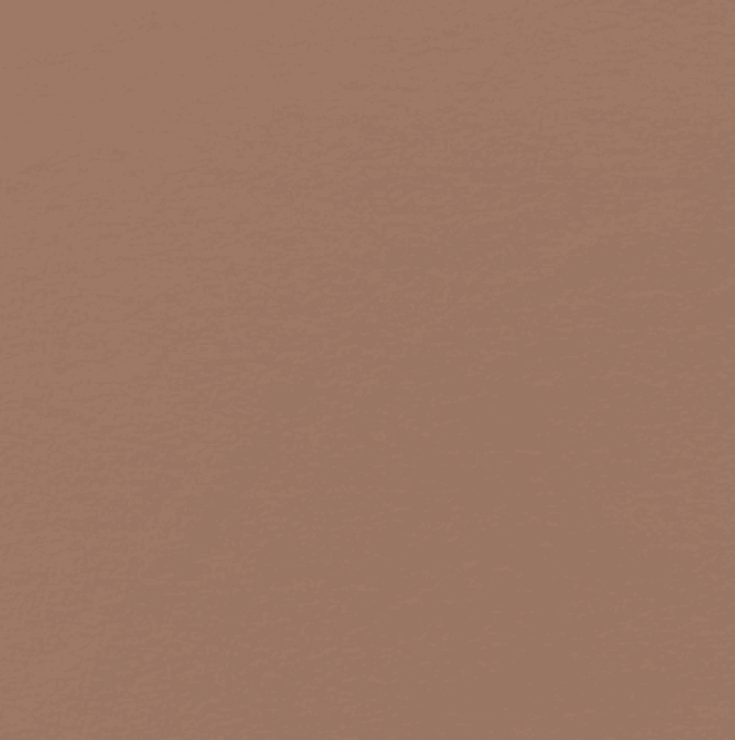 Hovedbilde Jersey brun 011